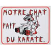 Cartel diseño gato 'Nuestro gato hace karate'