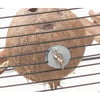 Casinha redonda para roedor - Coconut House 5