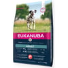 Eukanuba Adult Pienso para perros de razas grandes con Salmón y Cebada