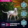 Eukanuba Adult Sensitive Saumon & Orge pour chien adulte de grande race