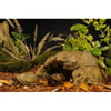 Tortoise Cave - XXL Versteck für Schildkröten - 40X30X20CM