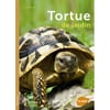 Livro tartaruga de jardim