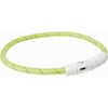 Flash Lichtgevende halsband USB, groen