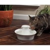 Fonte Drinkwell cerâmica Avalon para cães e gatos
