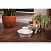 
Drinkwell Avalon - 2L - Fuente de cerámica para perro y gato
