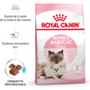 Comida seca para gatinhos Royal Canin Mother & Babycat