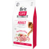 BRIT CARE Grain-Free Adult Activity Support