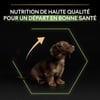 PRO PLAN Small & Mini Puppy Healthy Start para cachorros