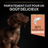 PRO PLAN Chien Small & Mini Puppy Sensitive Skin saumon pour chiot