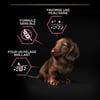 PRO PLAN Perros Small & Mini Puppy Sensitive Skin