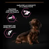 PRO PLAN Small & Mini Adult 9+ Age Defence pienso para perros