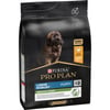 PRO PLAN Large Robust Puppy con pollo