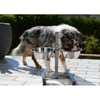 Bar para cão ortopédico Zolia Izzy Bar - vários tamanhos disponíveis