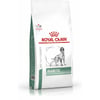 Royal Canin Veterinary Diets Diabetic DS 37 Ração seca para Cão esterilizado ou com excesso de peso
