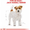 Royal Canin Jack Russell Adulte