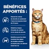 Ração veterinária e alimentos dietéticos para gatos HILL'S Prescription Diet C/D Urinary Multicare