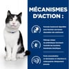 Alimentação veterinária para gatos com problemas gastrintestinais HILL'S Prescription Diet i/d Digestive