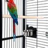 Gaiola para papagaio ZOLIA ARATINGA - A 183cm