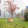 Freilaufgehege TANIA für Hunde - Durchmesser 150cm x 90,5 cm Höhe