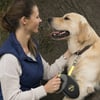 Flexi NEON GIANT hondenriem - 3 maten beschikbaar