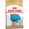 Royal Canin Breed Puppy Pug per Carlini Cuccioli