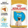Royal Canin Breed Puppy Pug pour Carlin Chiot