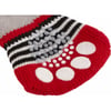 Chaussettes pour chien Bruno gris/rouge