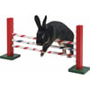 Agility Obstacle Hürde für Kleintiere 70 x 5 x 35cm