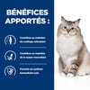 HILL'S Prescription Diet J/D Joint Care per gatti adulti