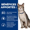 HILL'S Prescription Diet K/D Kidney Care per gatti adulti