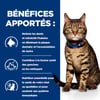HILL'S Prescription Diet T/D Dental Care per gatti adulti