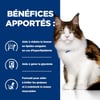 HILL'S Prescription Diet w/d Multi-Benefit para gatos
