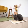 Tappeto tiragraffi per gatti Zolia Eloni - 49 x 34 cm