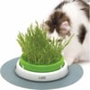 Jardinera para hierba gatera Cat It Senses 2.0