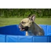 Grande piscina per cani Zolia Oceadog - 120 cm