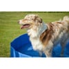 großes Schwimmbad für Hunde Zolia Oceadog - 120 cm
