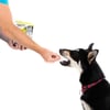 DAILYS Education - Cubos de Pollo snacks para perros