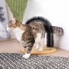 Auto-Toelettatore e massiaggiatore per gatti Easy Brush con erba per gatto