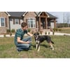 Collare d'addestramento PetSafe SMART DOG Bluetooth