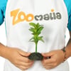 Plant voor terrarium Exotica REPTIL'US