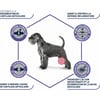 Advance Veterinary Diets Articular Care Senior per cani +7 anni