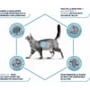 Advance Veterinary Diets Gastroenteric Sensitive Katzentrockenfutter