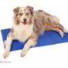 orthopädische Erfrischungsmatte für Hunde und Katzen YETI Relax Zolia