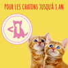 FRISKIES JUNIOR pour chat avec du poulet, de la dinde et des légumes