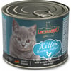 Leonardo Kitten Quality Selection