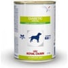 Royal Canin Veterinary Diets Diabetic Special in scatola per cani adulti