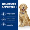 Verschreibungspflichtige Diät J / D Joint Care für erwachsene Hunde
