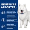 HILL'S Prescription Diet k/d + Mobility pienso para perros