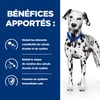 Pâtée HILL'S Prescription Diet U/D Urinary Care pour chien adulte