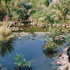 JBL FilterStart Pond activador biológico para filtros de estanque